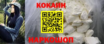ешки Кингисепп