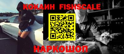 крисы Камышлов