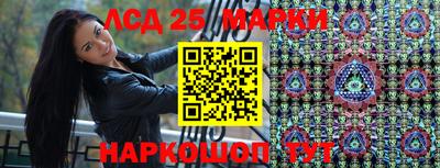 крисы Камышлов