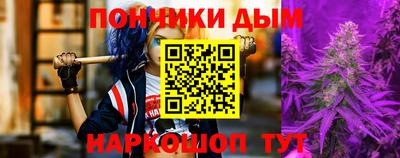 крисы Камышлов