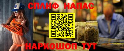 крисы Камышлов