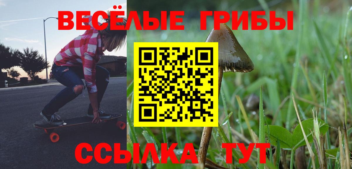 Псилоцибиновые грибы Magic Shrooms  Псилоцибиновые грибы мицелий  Вход с VPN  Курчатов 