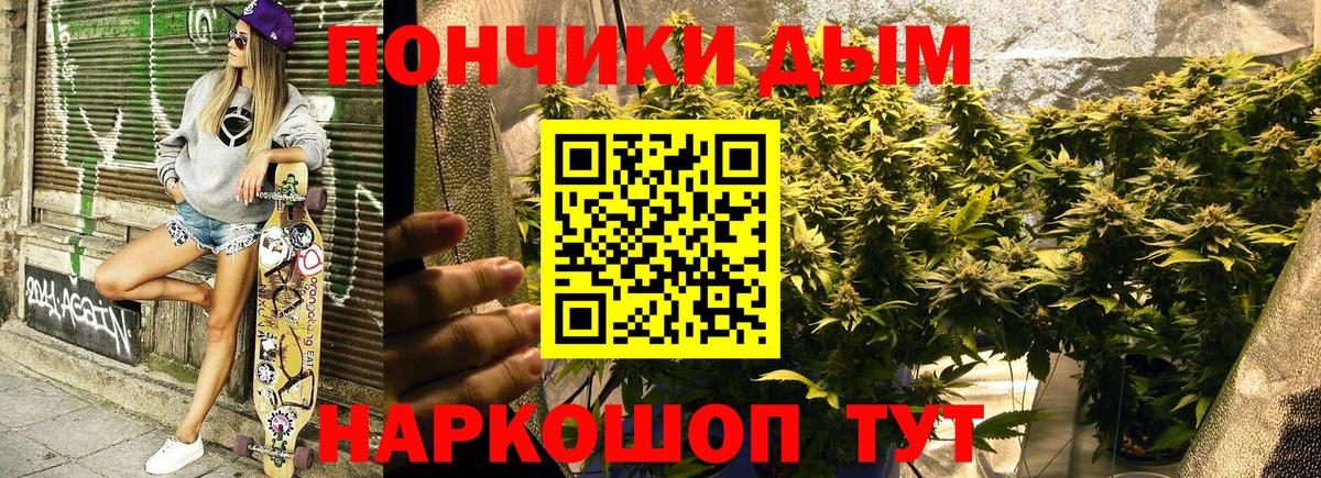 Шишки марихуана планчик  Бошки марихуана план  Шишки марихуана Amnesia  Курчатов  Вход с VPN  Конопля планчик 